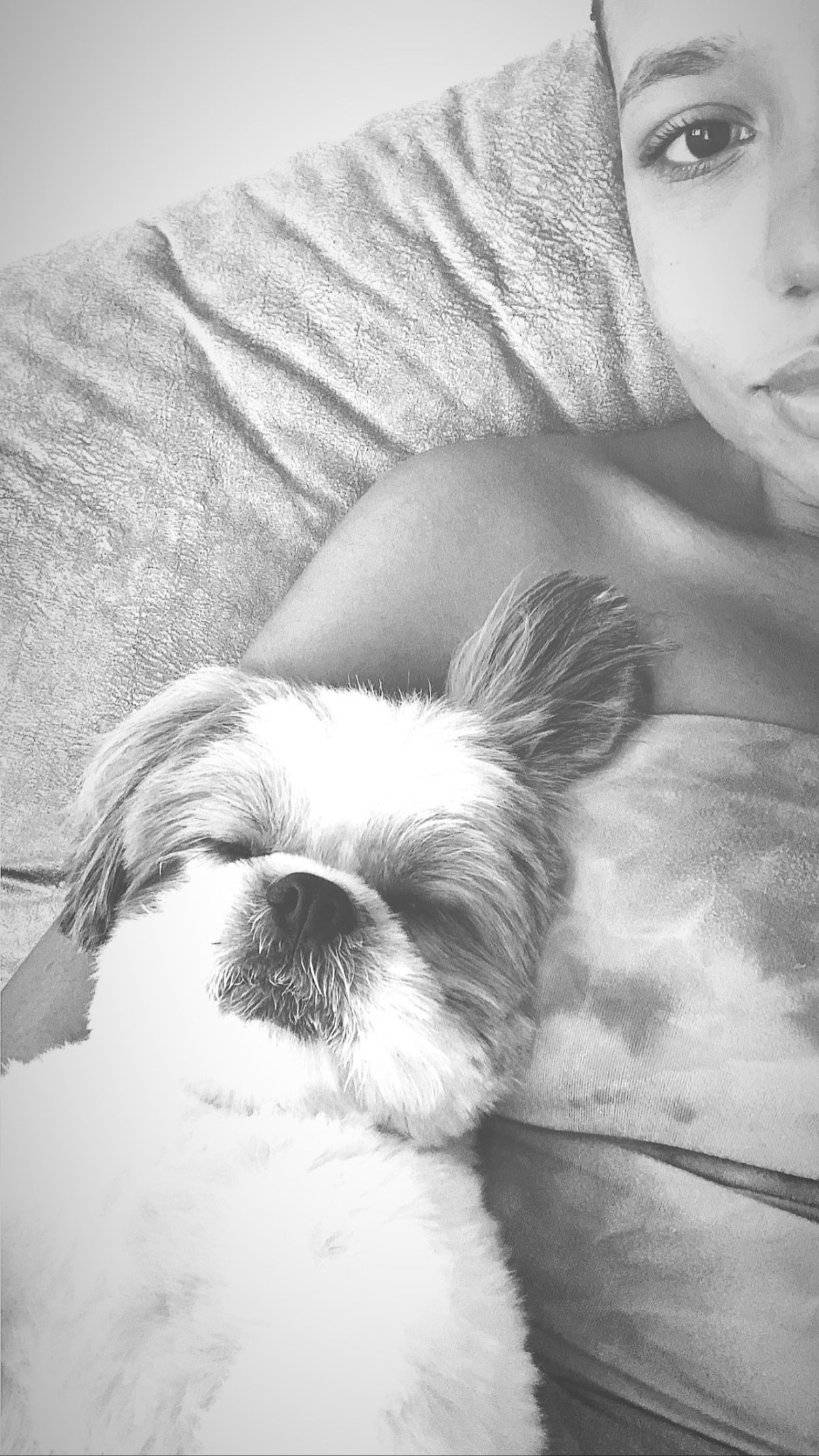Little dog for sell 3
